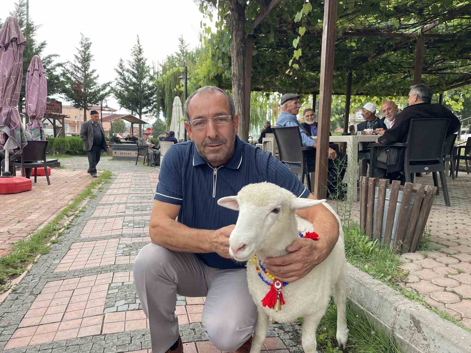 Tertip, Kavaklıların g&ouml;zbebeği oldu