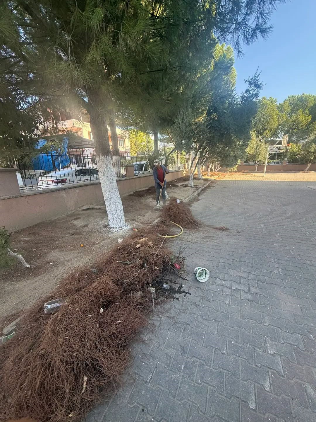 Germencik&rsquo;te okullar yeni eğitim yılına hazırlanıyor