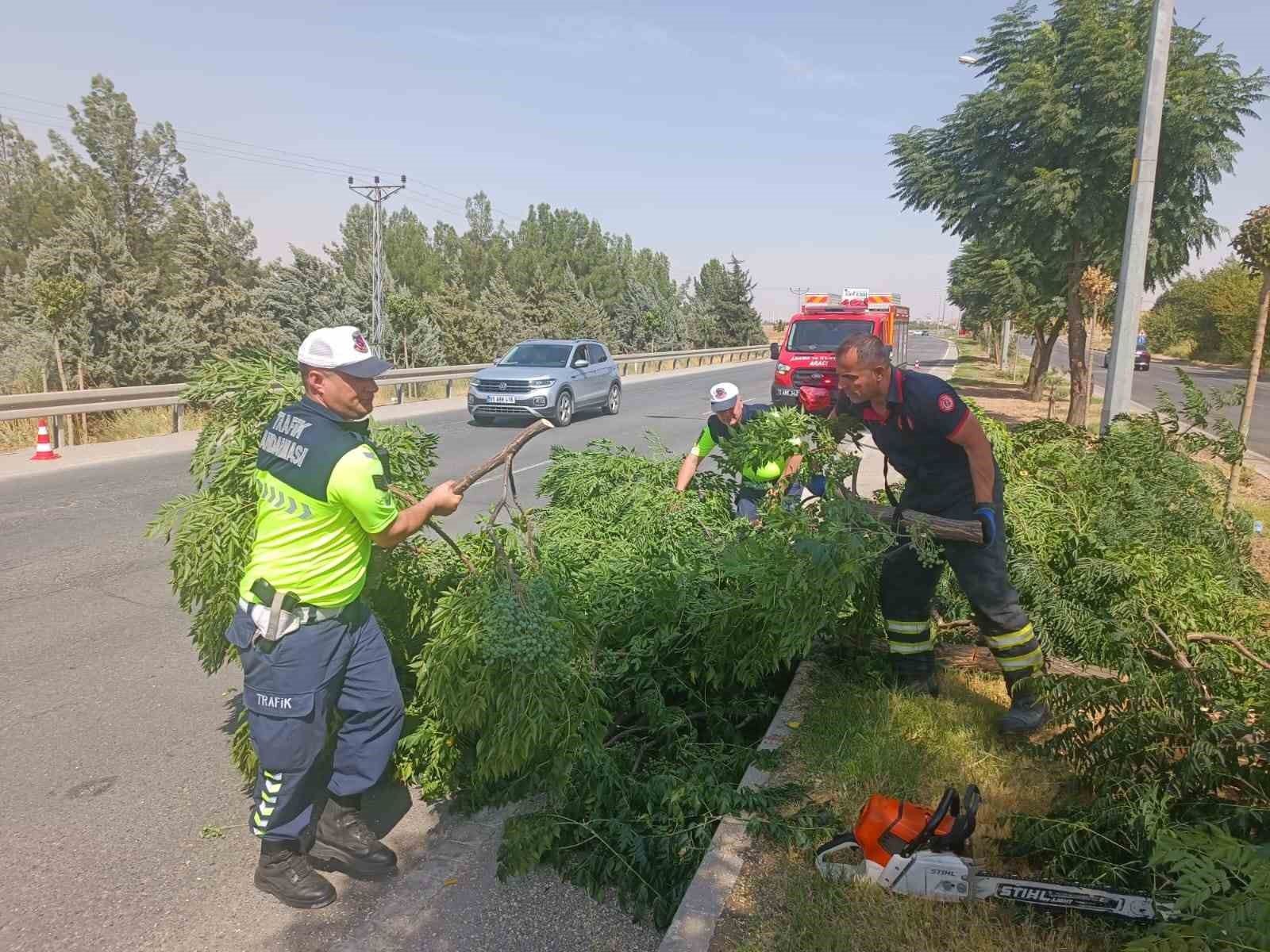Kuvvetli r&uuml;zgar ağacı devirdi