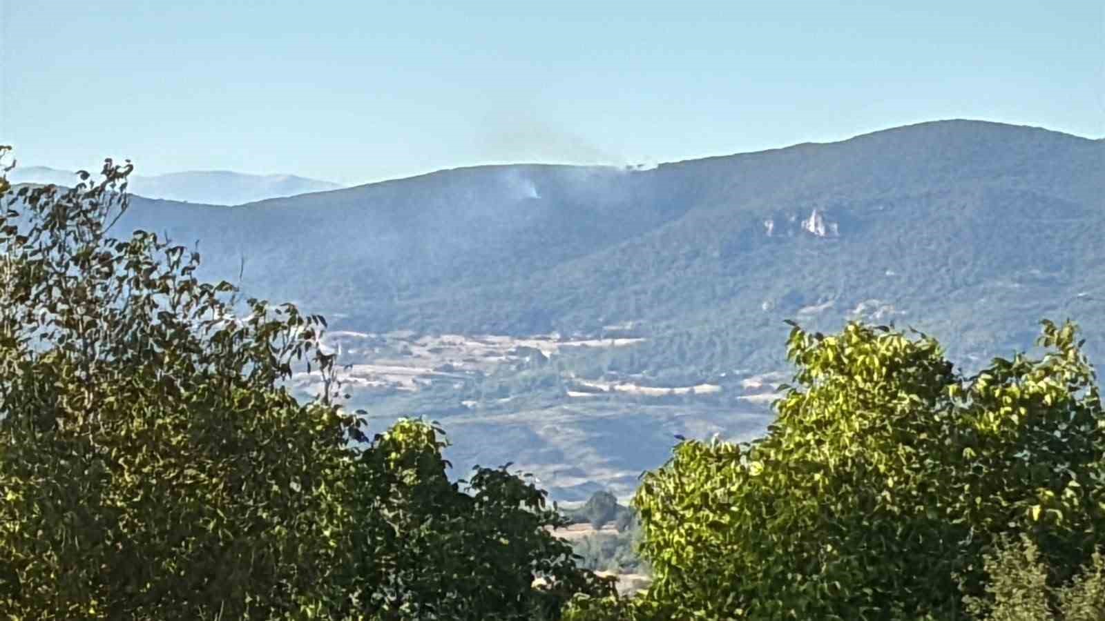 Tavşanlı&rsquo;da &ccedil;ıkan yangın korkuttu