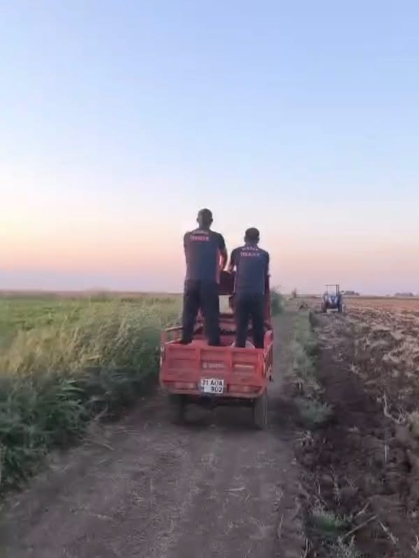 Reyhanlı&rsquo;da bataklığa d&uuml;şen b&uuml;y&uuml;kbaş hayvan kurtarıldı