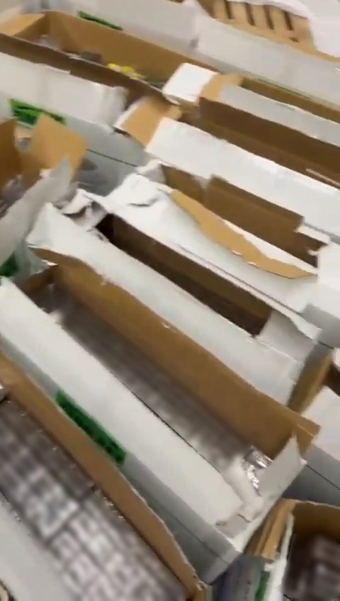 Plastik kutuların arasından 20 bin paket ka&ccedil;ak sigara &ccedil;ıktı