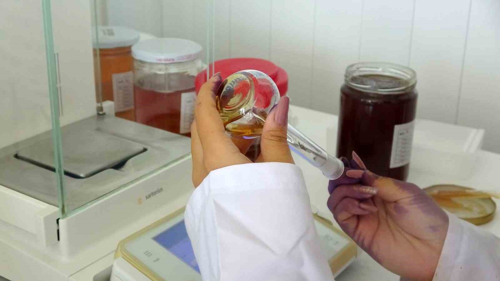 Arı zehrinden zeytinyağına, MSK&Uuml; Gıda Laboratuvarı kapılarını t&uuml;m T&uuml;rkiye&rsquo;ye a&ccedil;tı