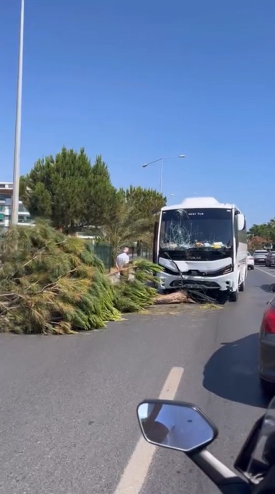 Alanya&rsquo;da alkoll&uuml; s&uuml;r&uuml;c&uuml;n&uuml;n kullandığı midib&uuml;s ref&uuml;j&uuml; aşıp karşı şeride ge&ccedil;ti