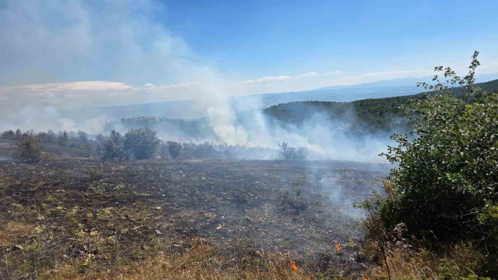 Kastamonu&rsquo;da &ccedil;ıkan orman yangını kontrol altına alındı