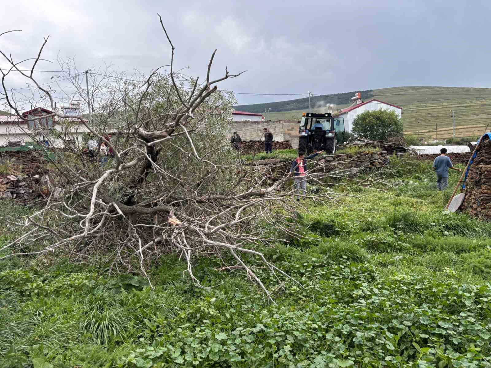 Ardahan&rsquo;da şiddetli fırtına ağa&ccedil;ları k&ouml;k&uuml;nden s&ouml;kt&uuml;
