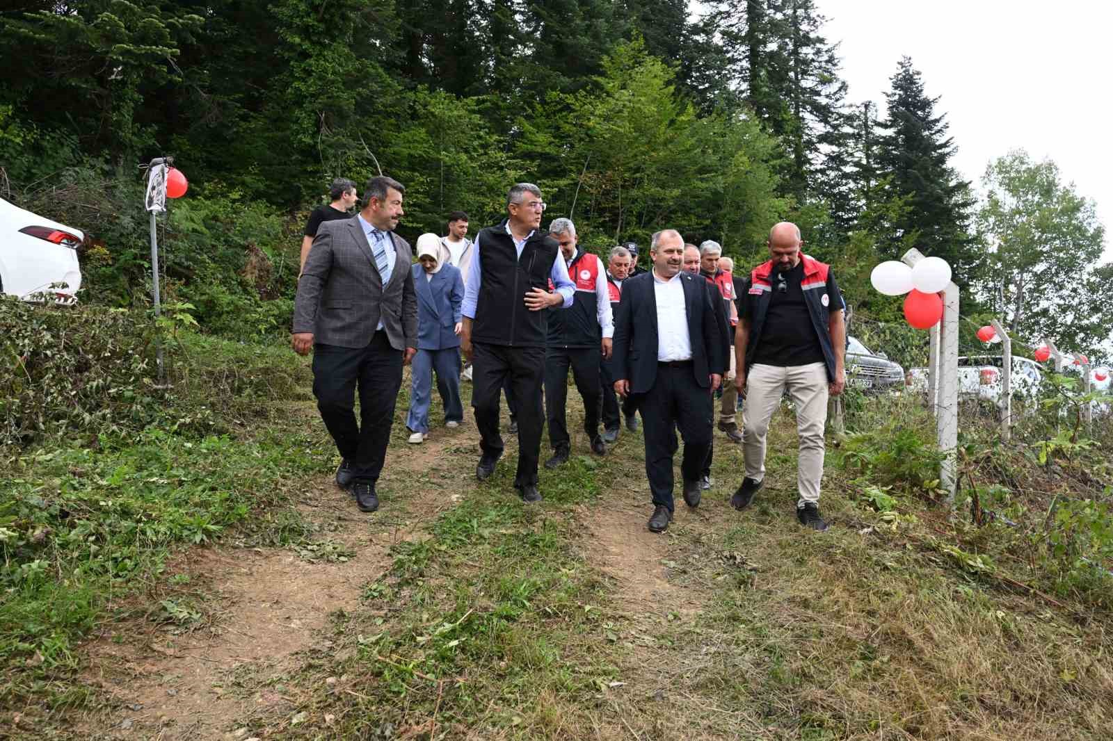 Kastamonu&rsquo;da aronya hasadı başladı