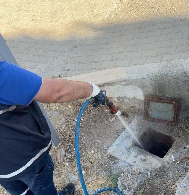 Didim Belediyesi vekt&ouml;rle m&uuml;cadele &ccedil;alışmalarını s&uuml;rd&uuml;r&uuml;yor