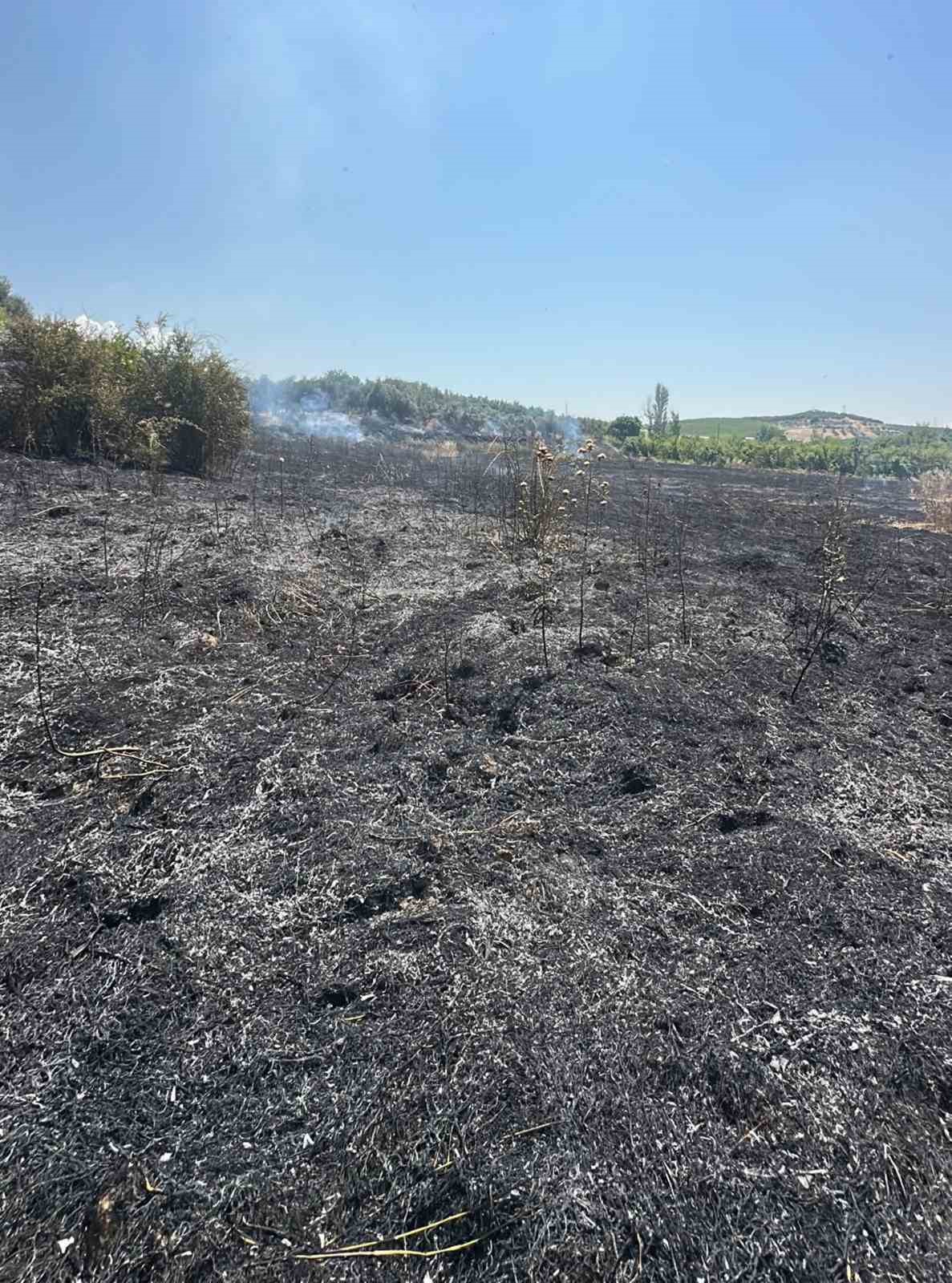 Mersin Mut&rsquo;ta yangın: 15 d&ouml;n&uuml;m bah&ccedil;e zarar g&ouml;rd&uuml;
