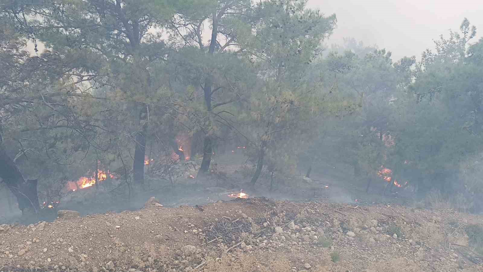 Alevler yerleşim yerine kadar yaklaştı, ekipler &ouml;nledi