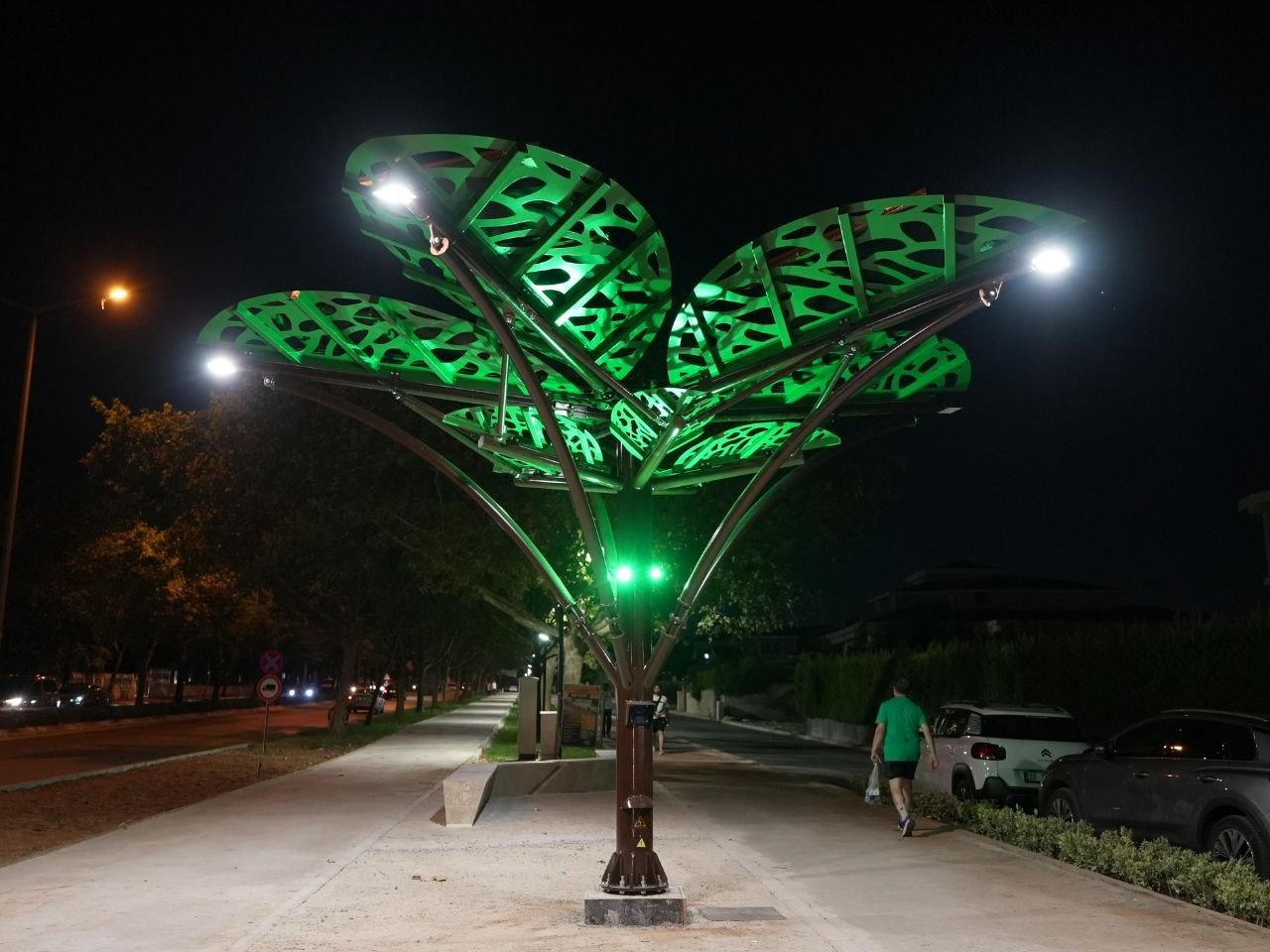 Denizli&rsquo;de "Solar Ağa&ccedil;" kent yaşamıyla buluştu