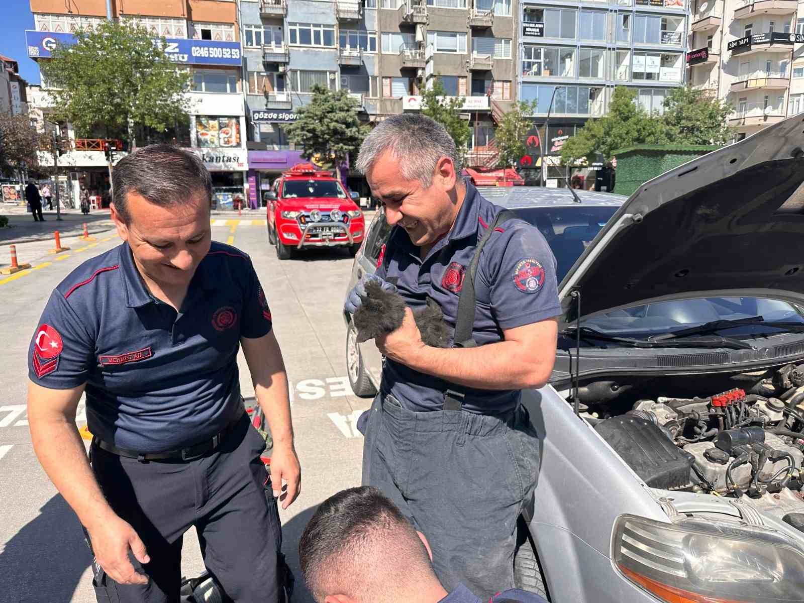 Otomobilin motor kısmındaki kediyi itfaiye &ccedil;ıkardı