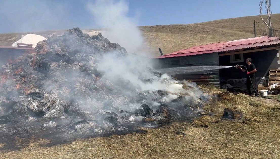 Kars&rsquo;ta bin ot balyası k&uuml;l oldu