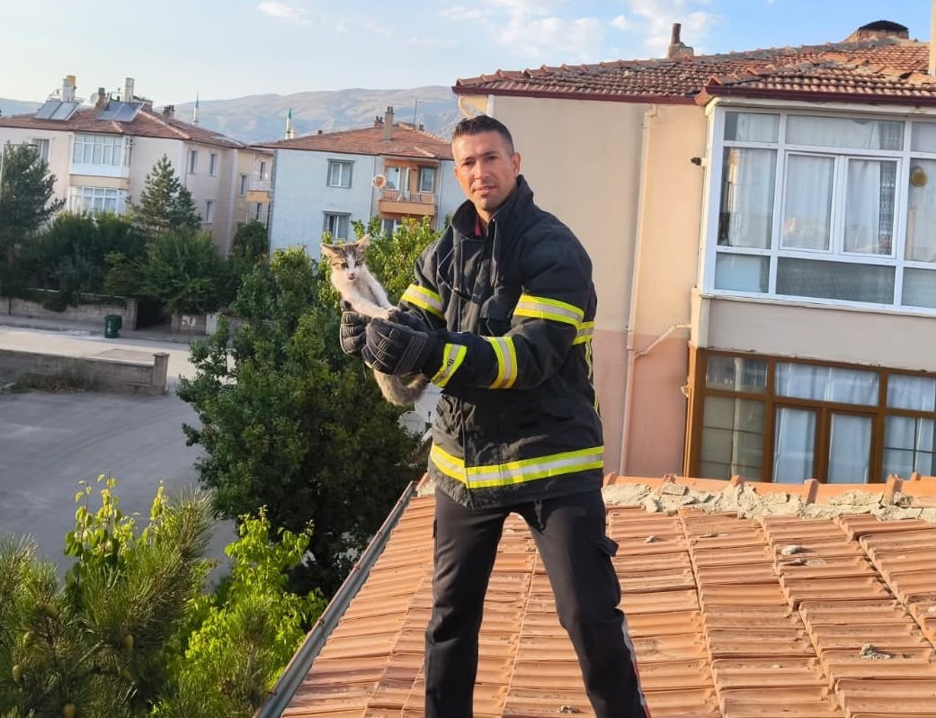 Erzincan&rsquo;da &ccedil;atıdaki kedi itfaiye ekiplerince kurtarıldı