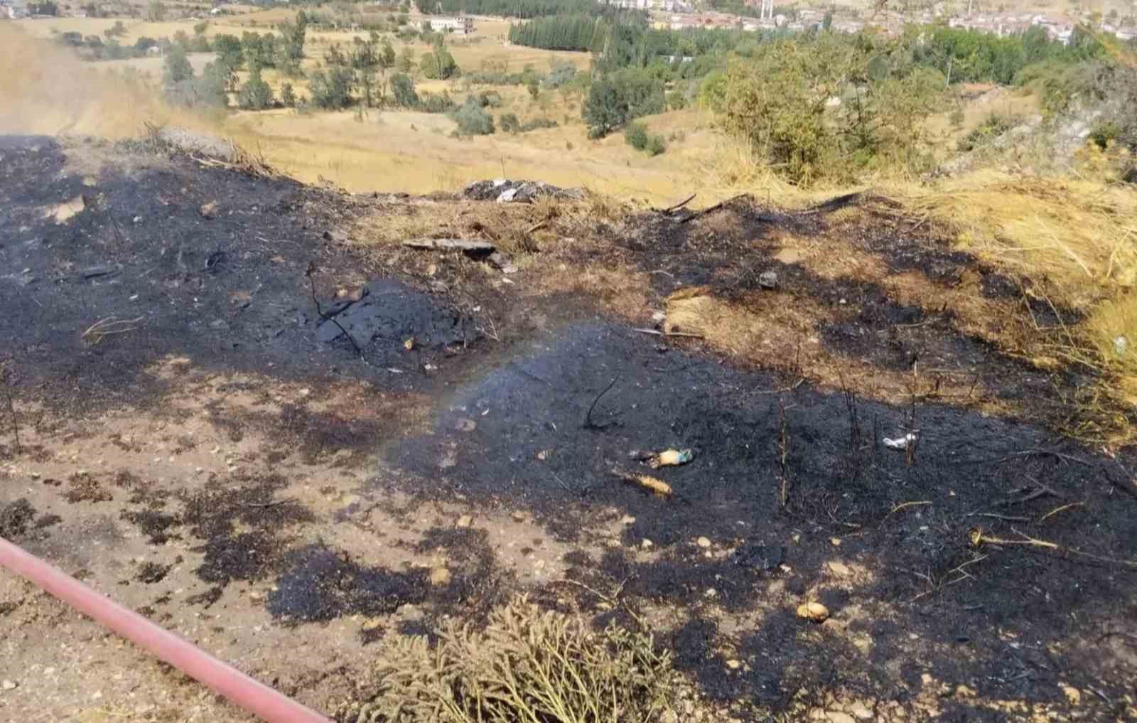 Emet&rsquo;te ot yangını b&uuml;y&uuml;meden s&ouml;nd&uuml;r&uuml;ld&uuml;