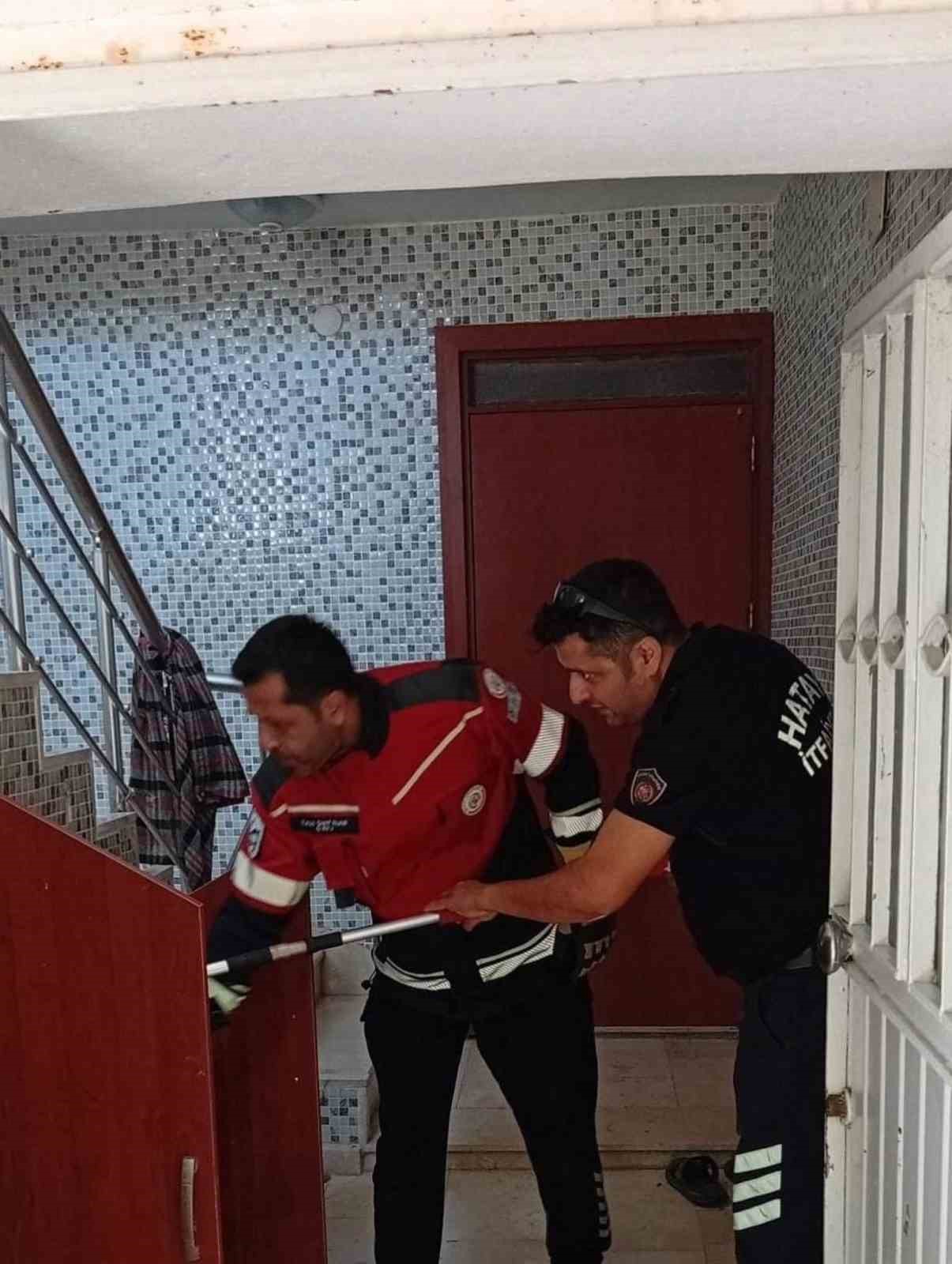 Samandağ&rsquo;da yerleşim yerinde g&ouml;r&uuml;len yılan yakalanarak doğaya bırakıldı