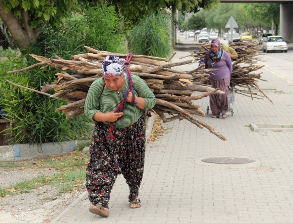 Kadınların kışlık odun mücadelesi