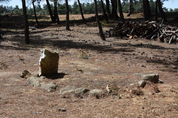 Çanakkale Savaşları'nın mezar yeri belli olan tek şehit doktoru