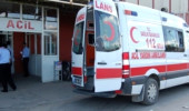 Edirne'de 7 Yaşındaki Çocuk Bonzaiden Hastanelik Oldu