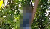 Tecavüze Direnen 15 Yaşındaki Çocuk, Asılarak Öldürüldü