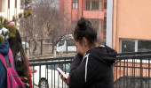 Kayseri'de Sokak Köpeklerinin Saldırdığı Lise Öğrencisi Öldü, Mahalle Sakinleri İsyan Etti