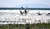 Su Kaynaklarının Kesilmesi Nedeniyle Eber Gölü Haritadan Silindi