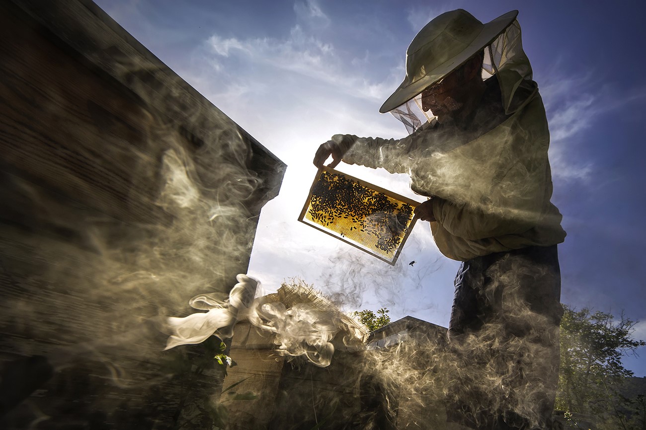 Sakarya’nın tarihi, kültürü ve güzellikleri kadrajlara yansıdı