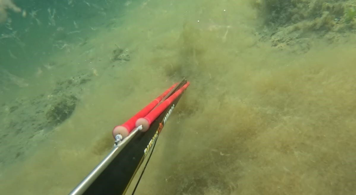 B&uuml;y&uuml;k&ccedil;ekmece&rsquo;de denizin dibinde korkutan m&uuml;silaj manzarası kamerada
