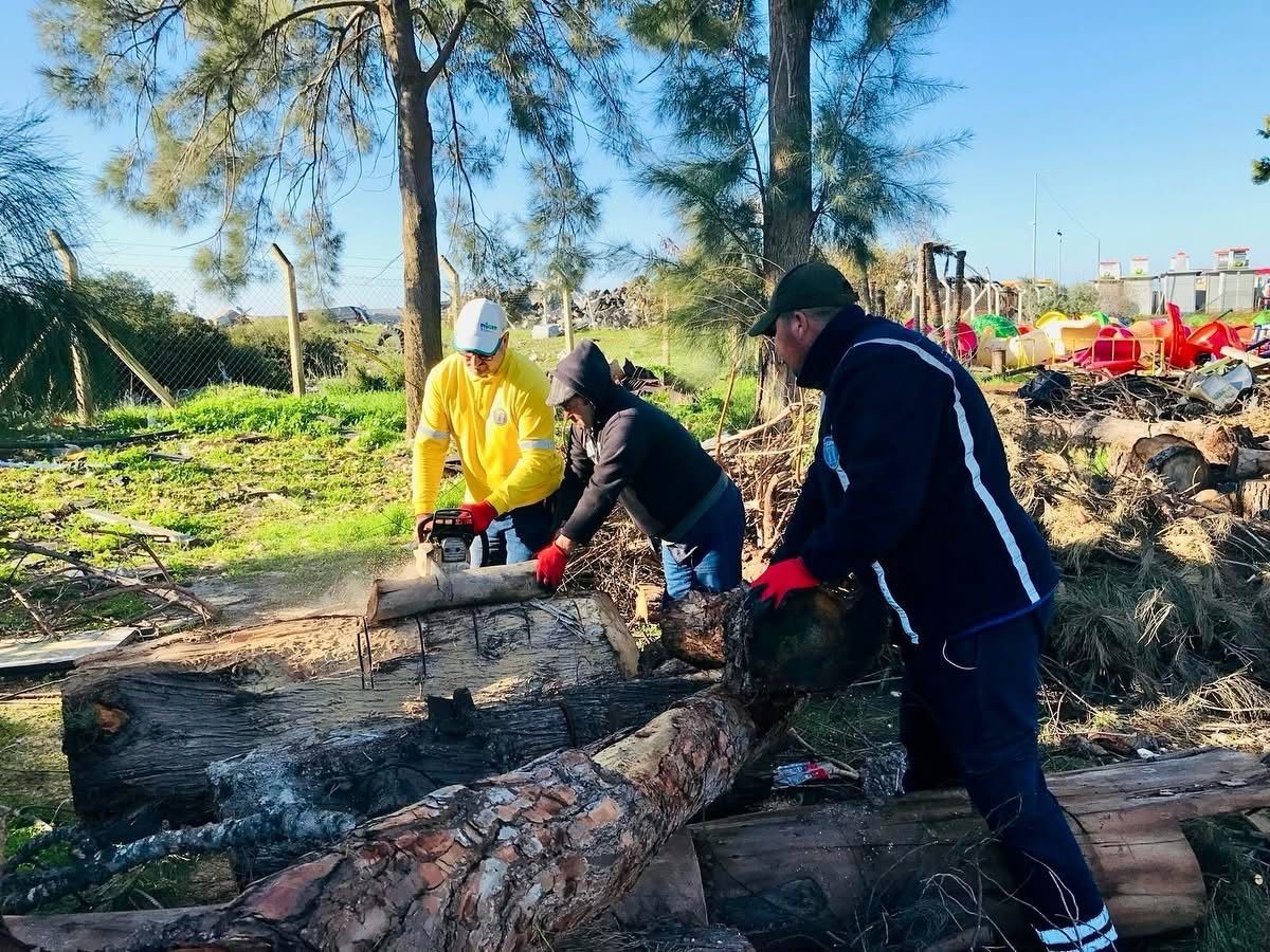 Didim&rsquo;de budanan ağa&ccedil;lar ihtiya&ccedil; sahiplerine yakacak oluyor
