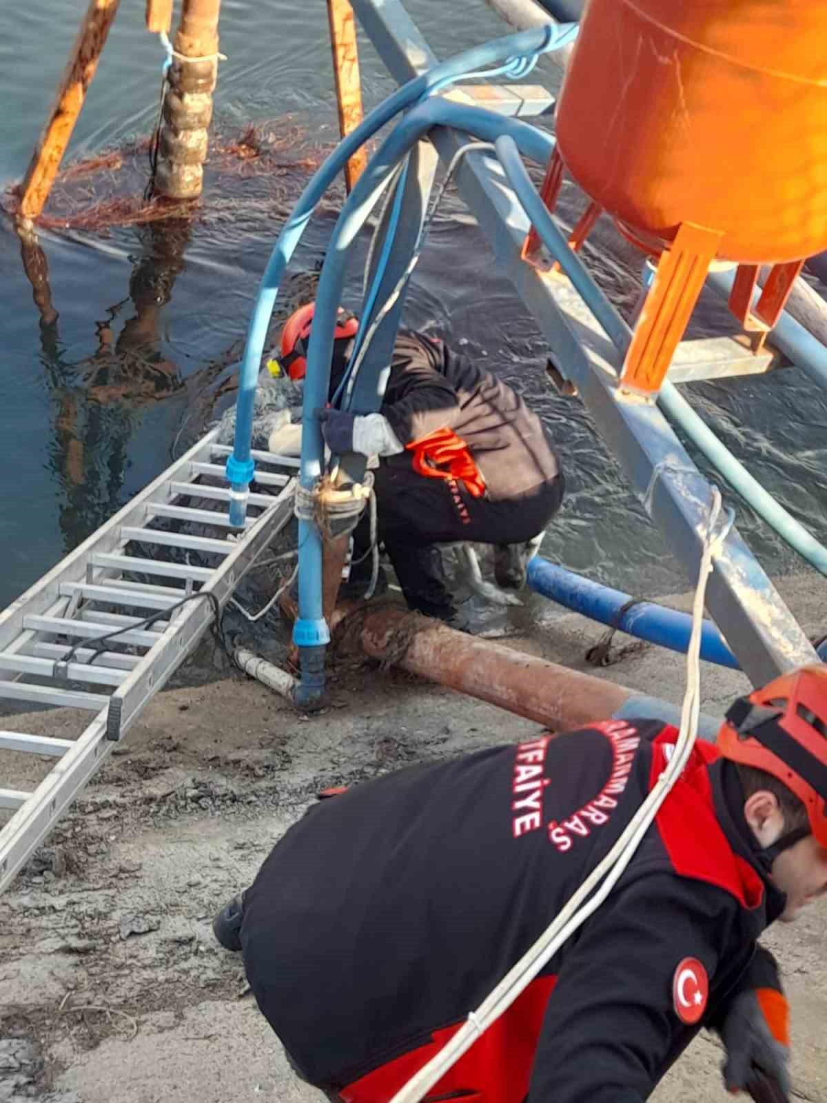 Sulama kanalındaki k&ouml;pek kurtarıldı
