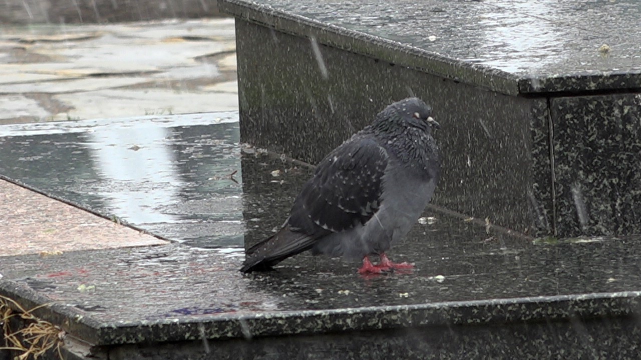 Kırklareli&rsquo;nde kar yağışı etkili oluyor
