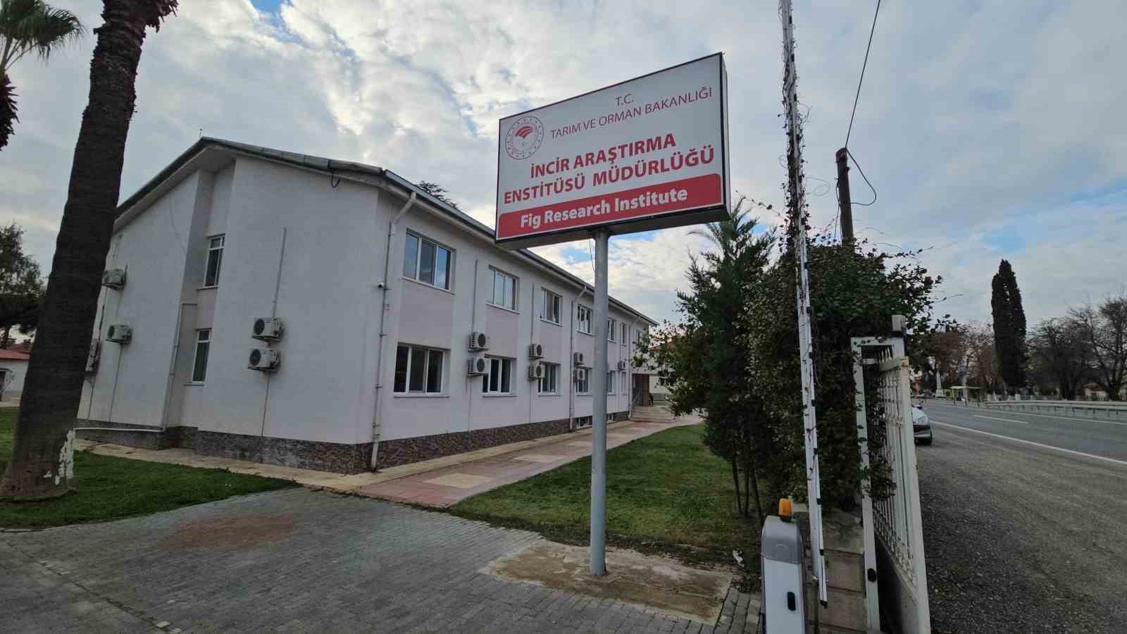 İncir Araştırma Enstit&uuml;s&uuml;&rsquo;nde yapılan &ccedil;alışmaları incelediler
