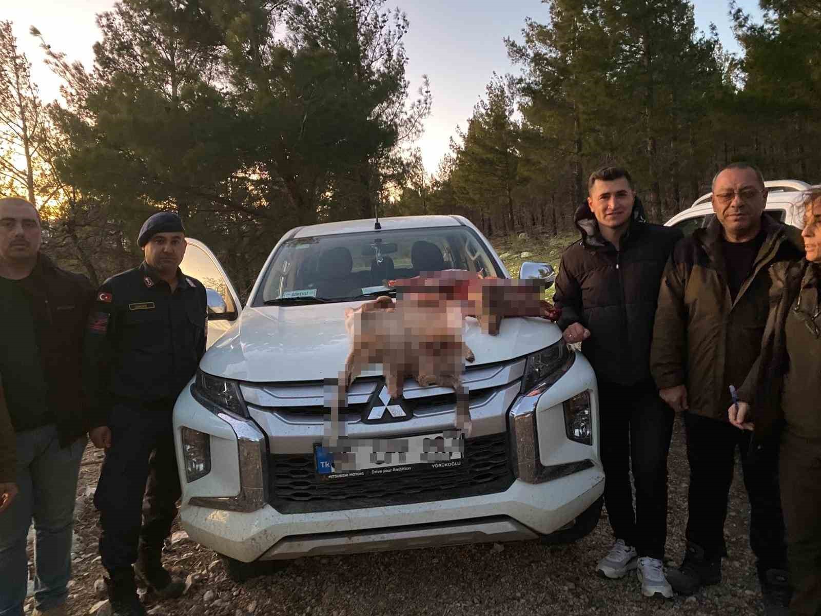 Mersin&rsquo;de yaban ke&ccedil;isi avlayan 2 şahsa 673 bin TL ceza kesildi
