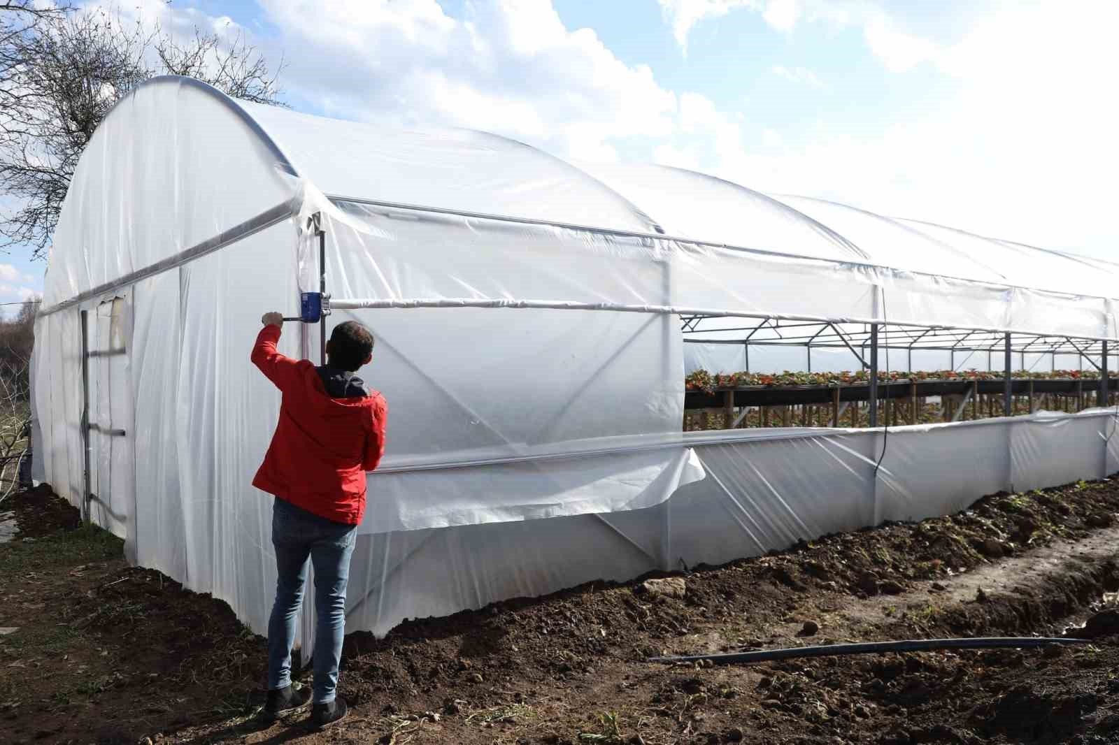 Ordu&rsquo;da &uuml;reticilere sera naylonu desteği
