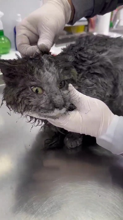 Antalya&rsquo;daki 4 iş&ccedil;inin mahsur kalıp kurtarıldığı 12 katlı inşaat yangının boyutu ortaya &ccedil;ıktı
