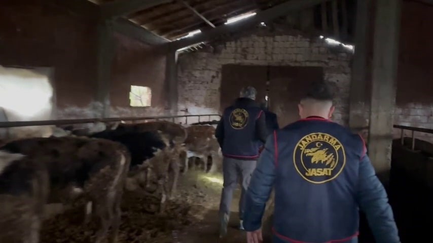 Sakarya&rsquo;da hayvan hırsızlığı yapan &ccedil;eteye operasyon: 7 tutuklama
