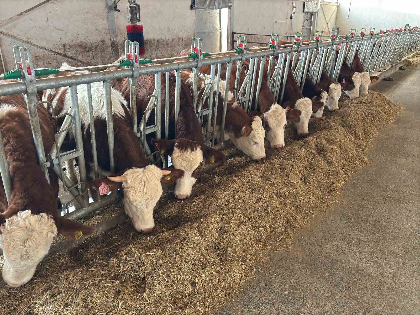 Erzincan&rsquo;da 3 işletme ari işletme olmak i&ccedil;in başvuru yaptı
