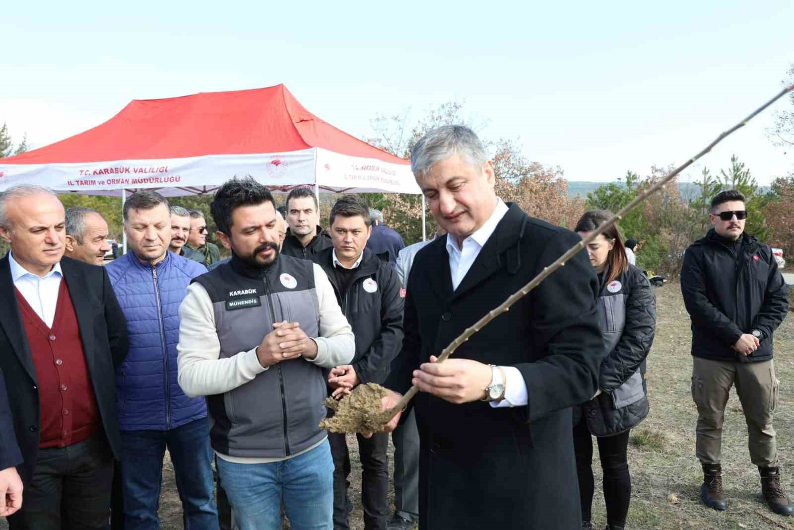 Karab&uuml;k&rsquo;te sumak fidanları toprakla buluşturuldu
