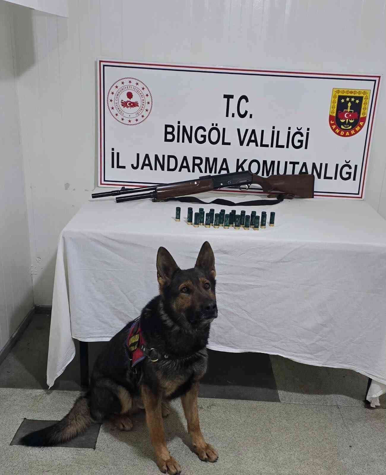 Bingöl’de 6 tüfek ele geçirildi