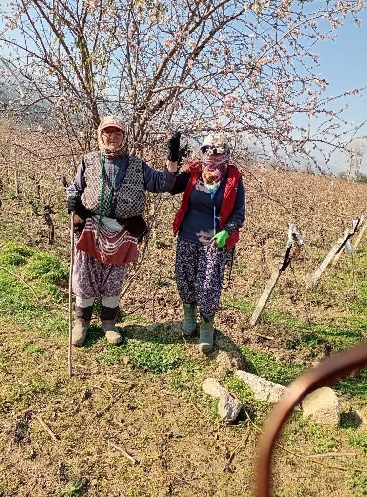 Tarım iş&ccedil;ileri bahar havasında &ccedil;alışıyor
