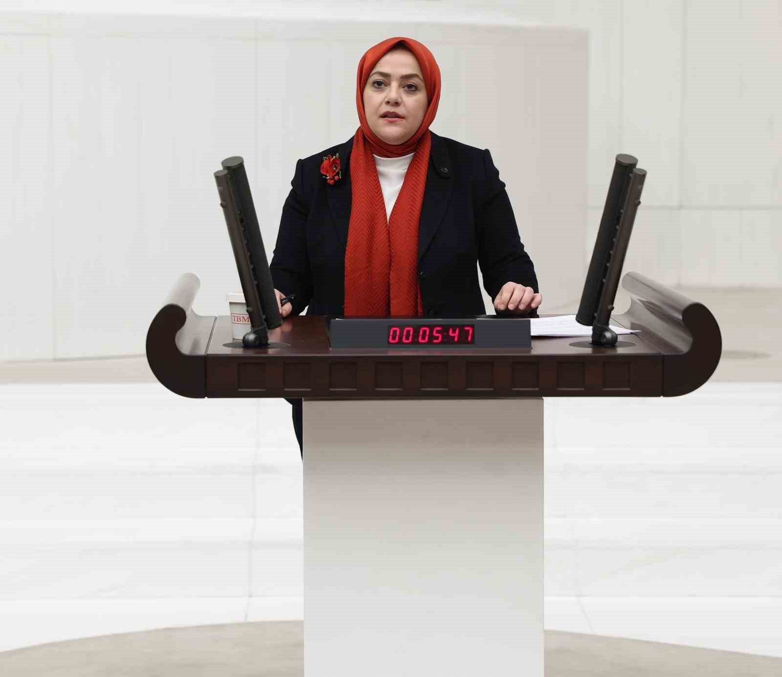 Milletvekili &Uuml;n: "Atanmış kişilere bu derece yetki tanınması siyasi suistimallere neden olabilir"
