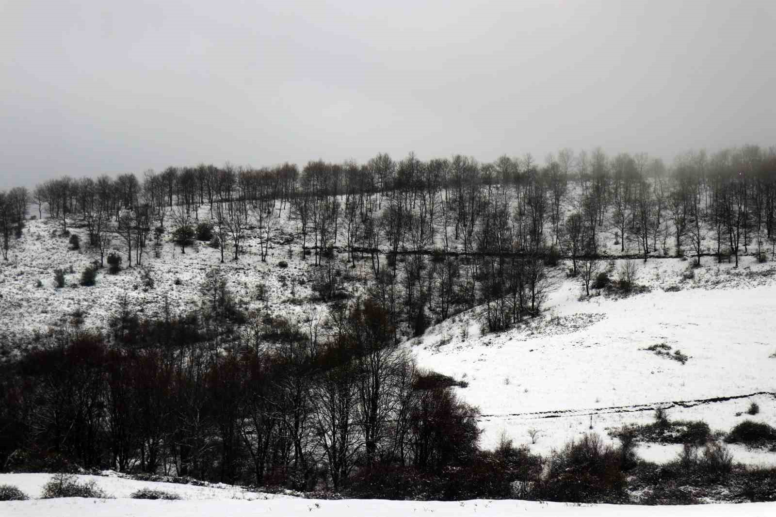 Film platosu değil, karlar altındaki Sakarya
