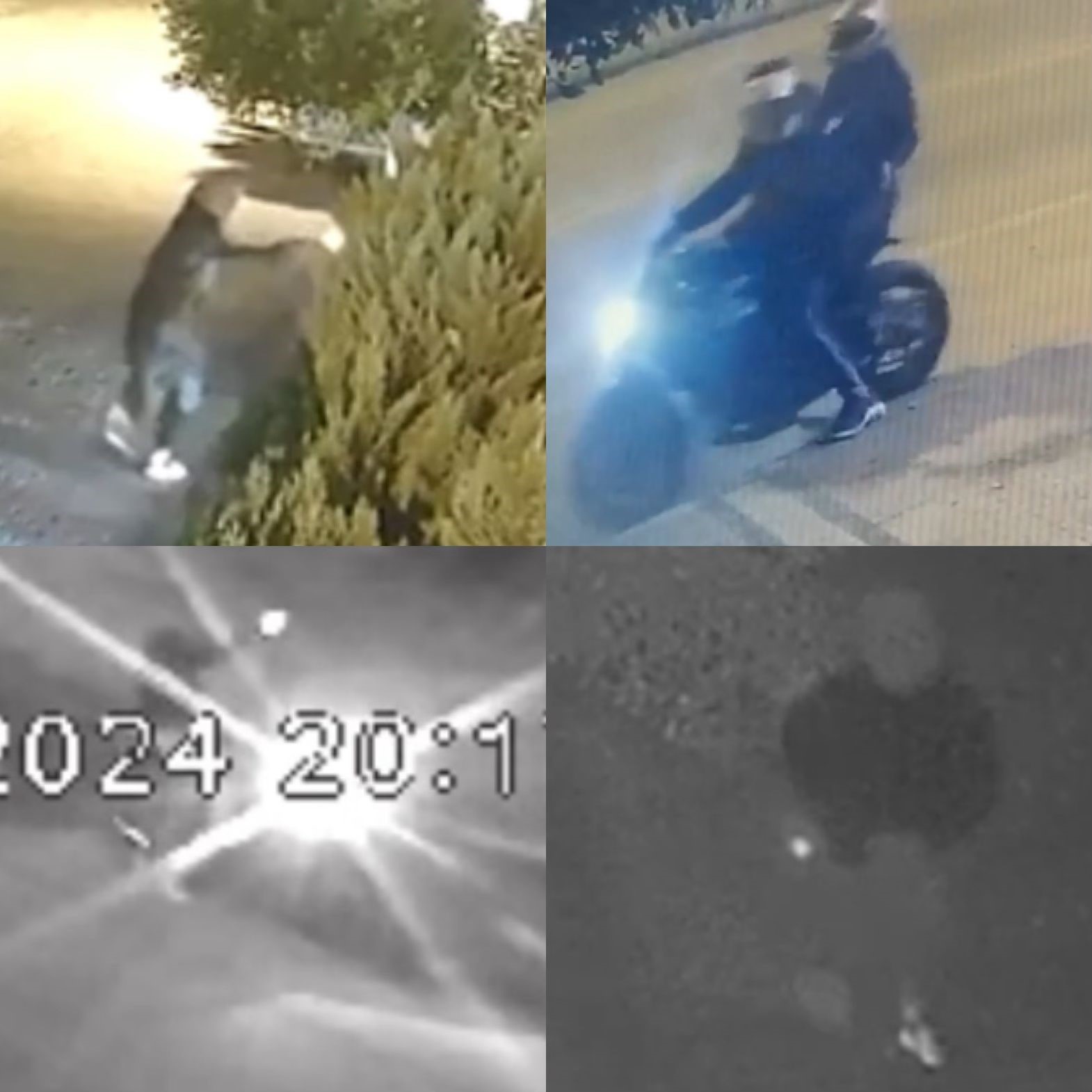 İş yerlerini kurşunlayan &rsquo;Kaplanlar&rsquo; &ccedil;etesi &ccedil;&ouml;kertildi: 15 tutuklama
