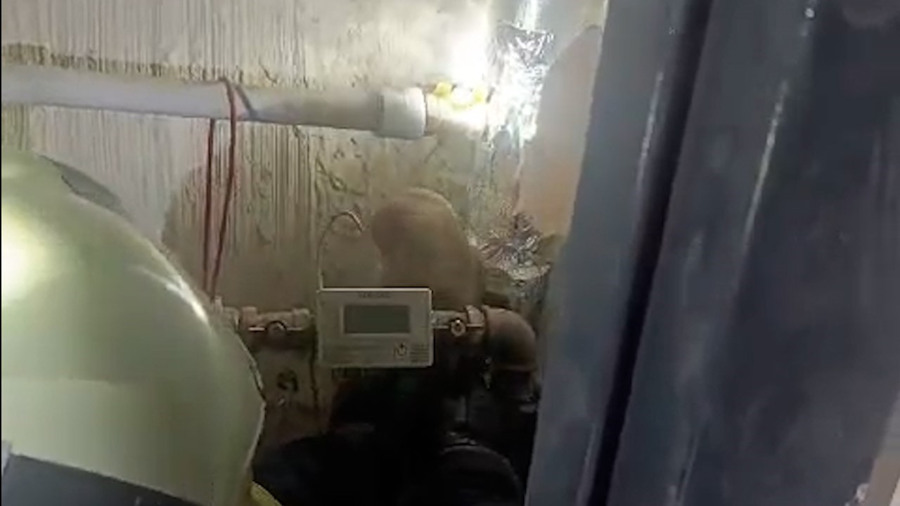 Gaziantep&rsquo;te binaya giren baykuşu itfaiye kurtardı
