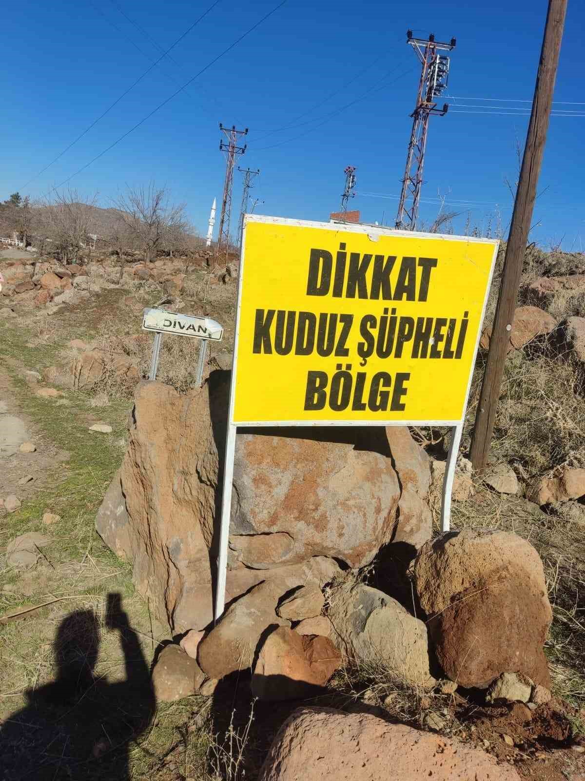 Siverek’te kuduz alarmı: Köpek saldırısında 3 kişi yaralandı, köy karantinaya alındı