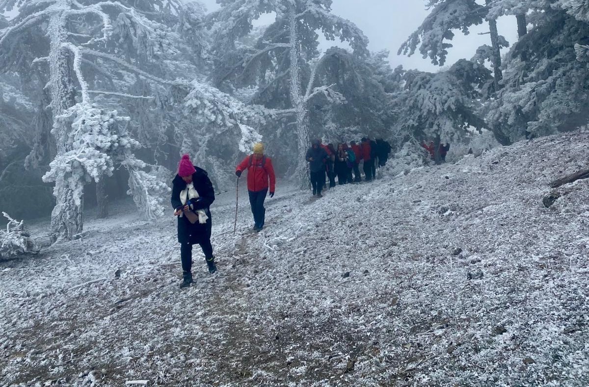 TURBELDAK -4 derecede y&uuml;r&uuml;d&uuml;
