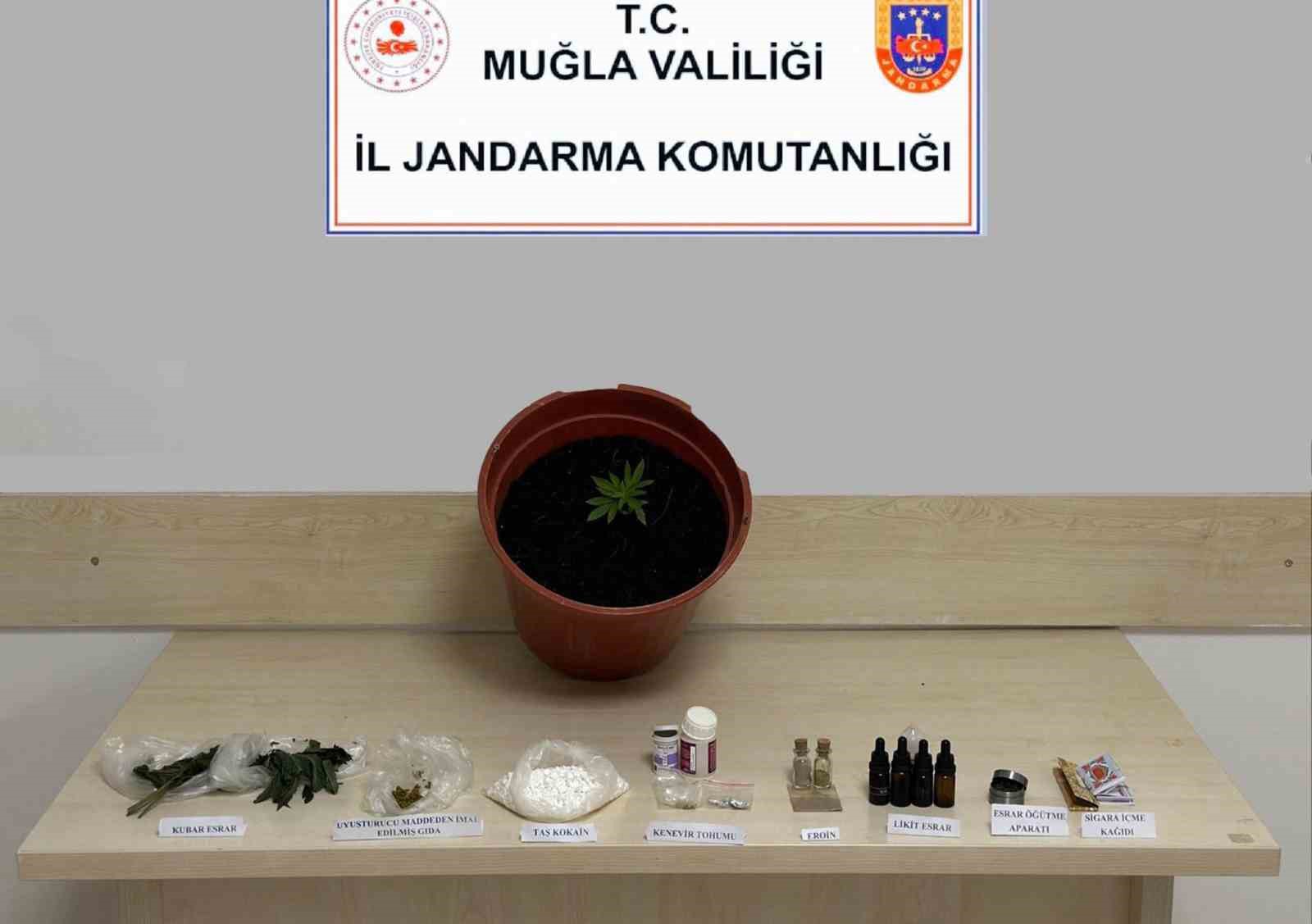 Uyuşturucu operasyonunda 1 tutuklama
