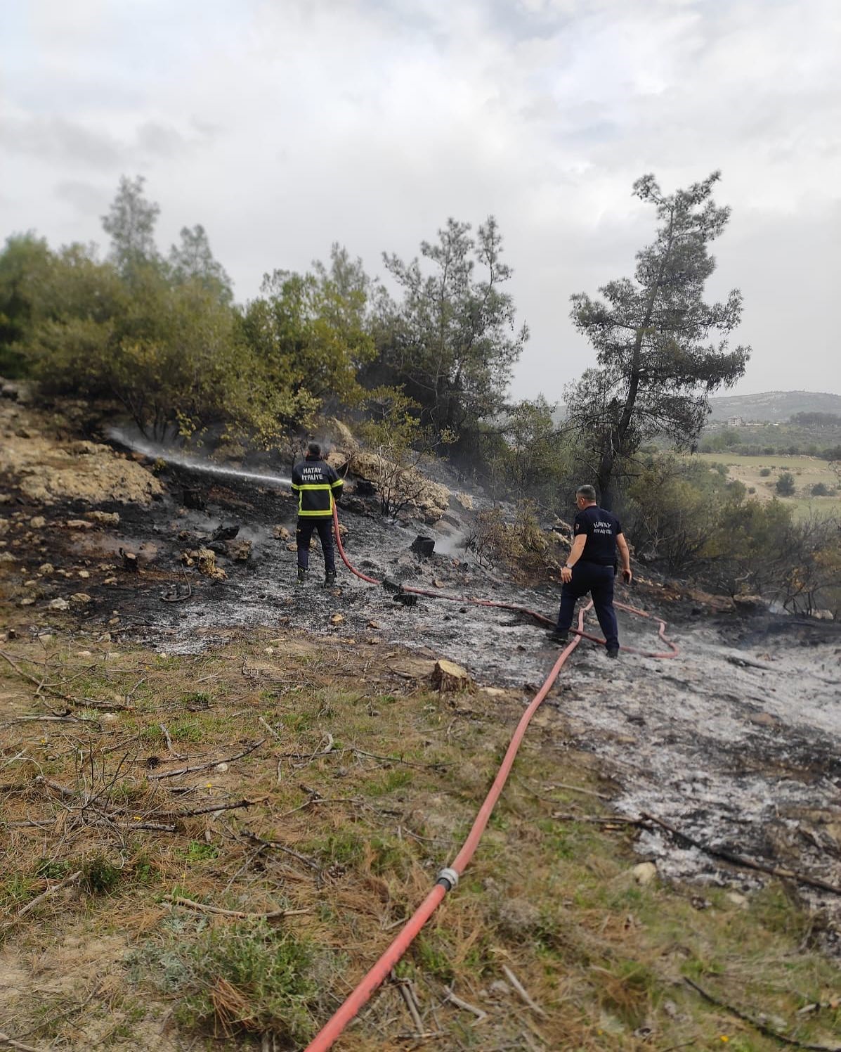 Yayladağı&rsquo;nda ormanlık alanda yangın

