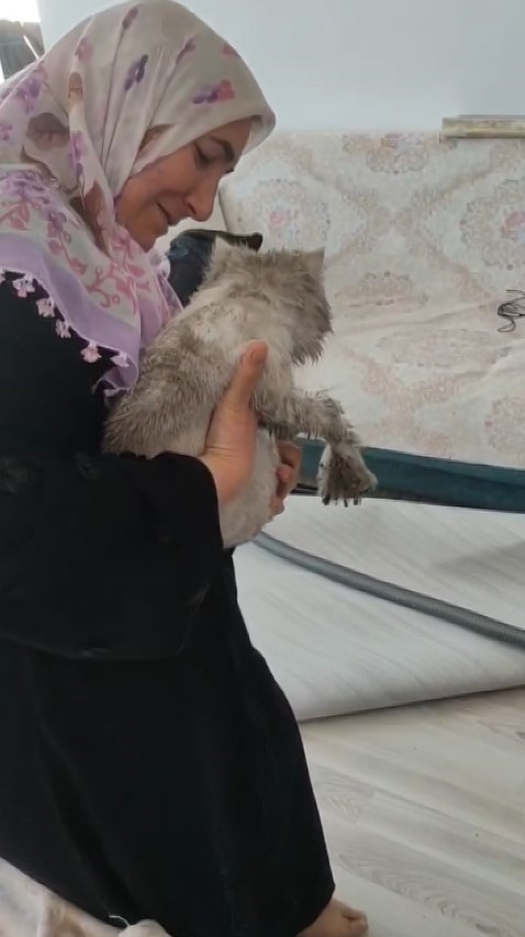 Bacada mahsur kalan kediyi itfaiye ekipleri kurtardı
