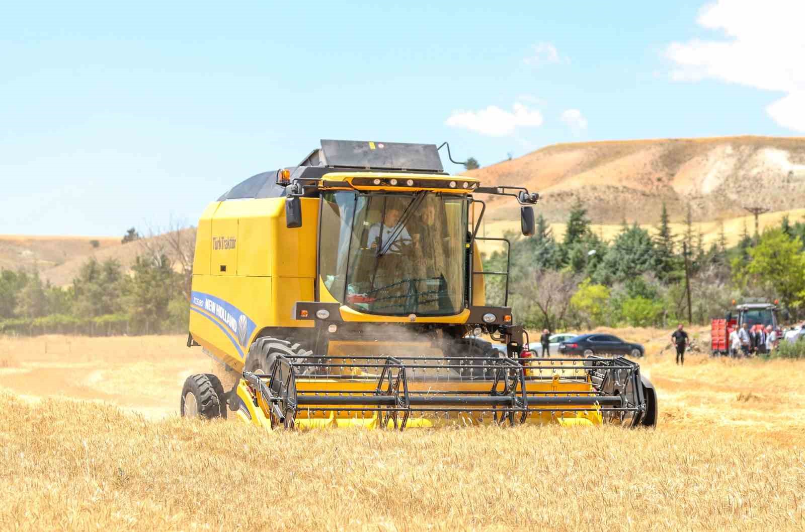 Sincan’da tahıl hasadı başladı